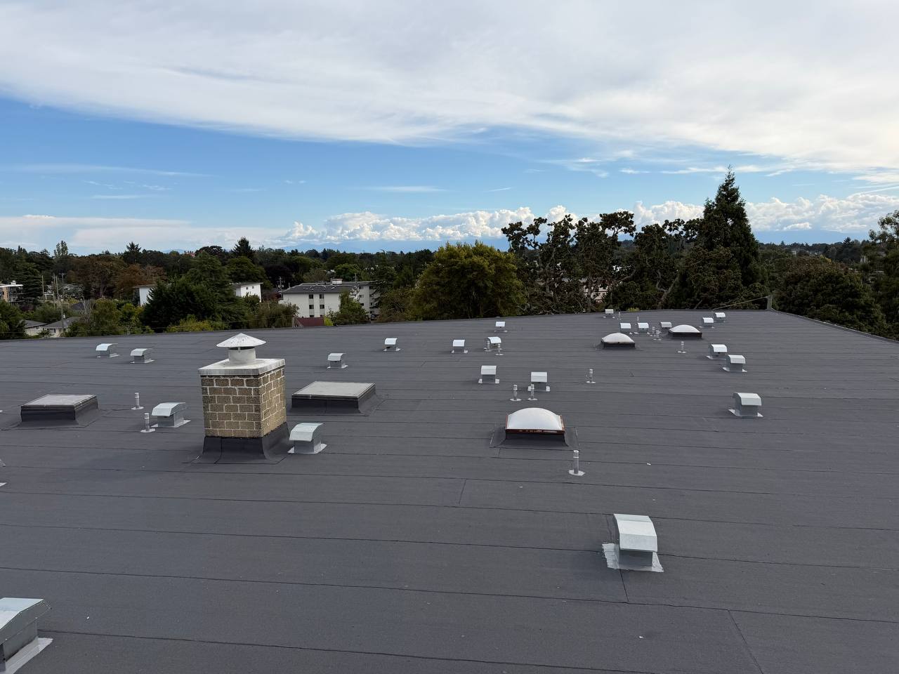 Finished flat roof with skylights and vent hoods